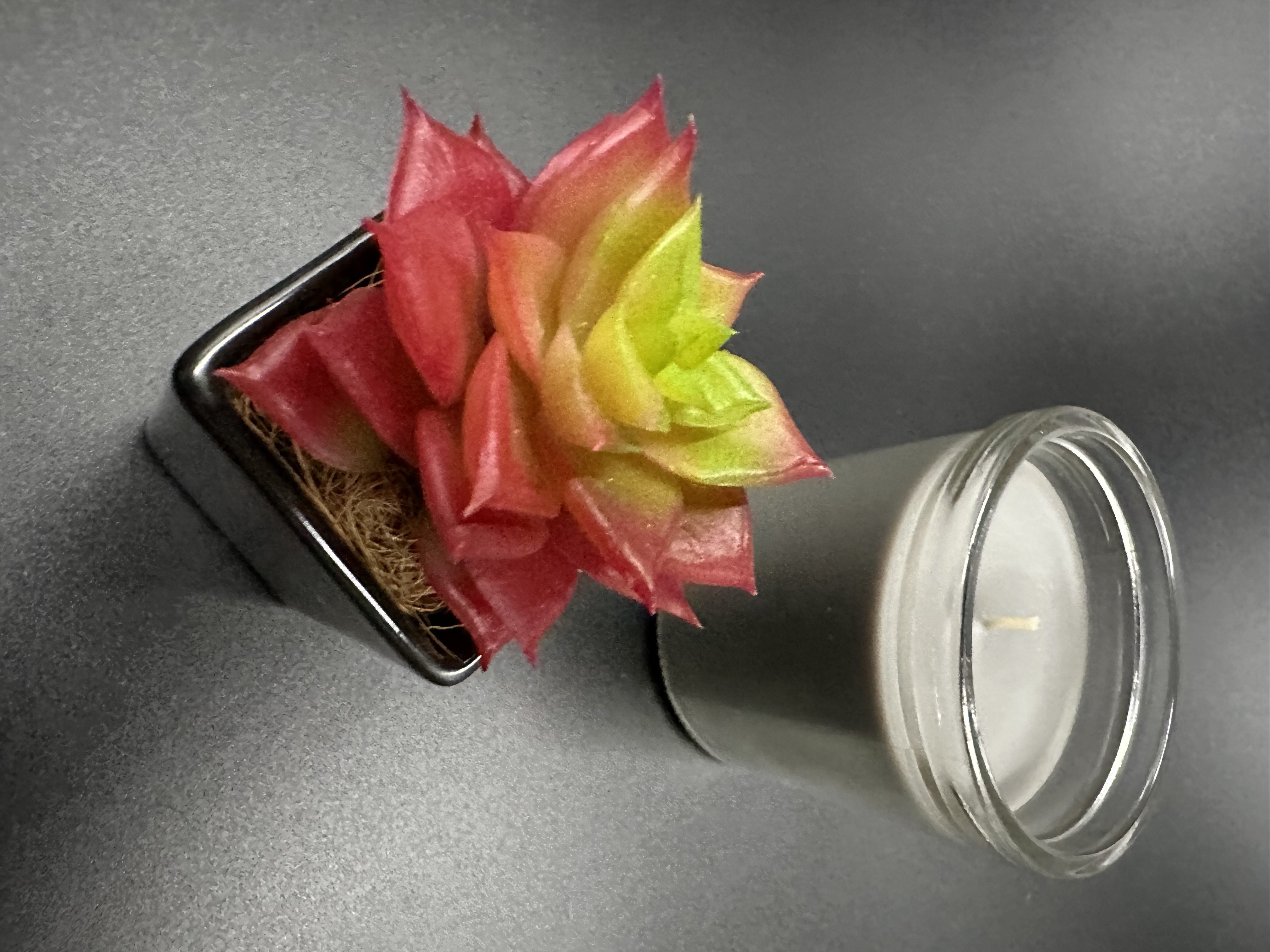 擬真植物擺設/拍攝道具